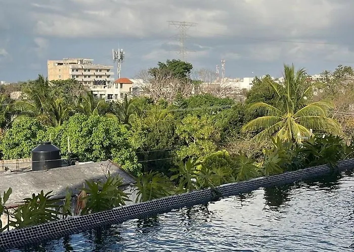 The 44, Fabulous For 19 Guests In * Playa del Carmen